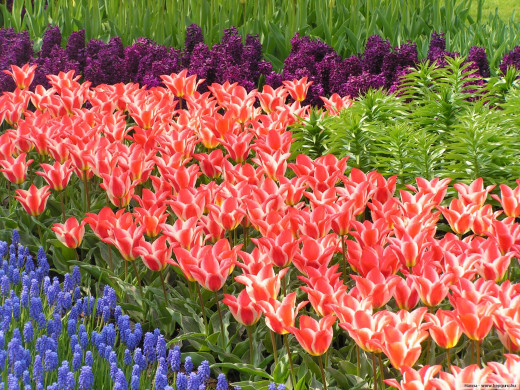 425330 (a): :1600x1200